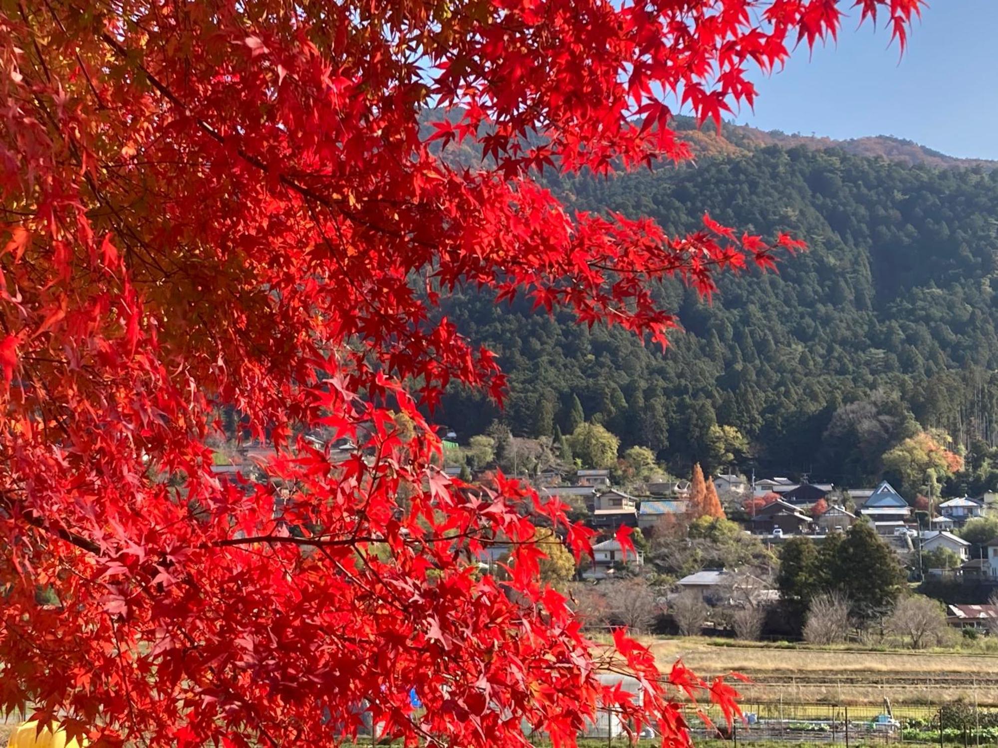 Ryoso Chatani Kyoto Buitenkant foto