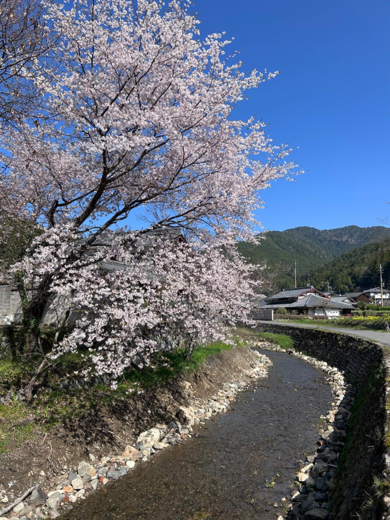 Ryoso Chatani Kyoto Buitenkant foto